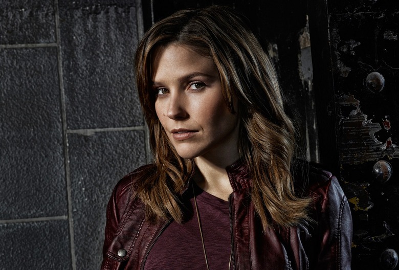 Erin Lindsay Chicago PD