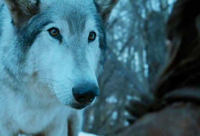 game-of-thrones-characters-alive-dead-complete-list-season-8