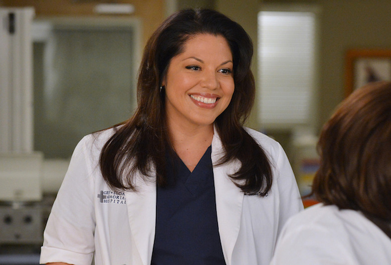 Greys anatomy best characters all time ranked photos callie