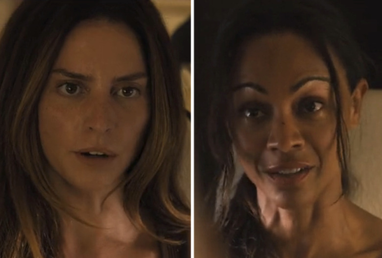 lioness buy a coat quote