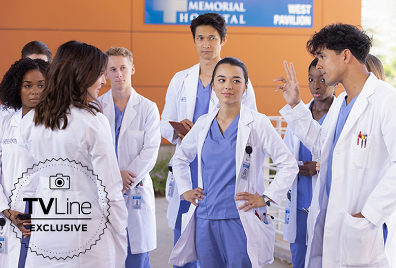 Grey's Anatomy Season 19 Spoilers