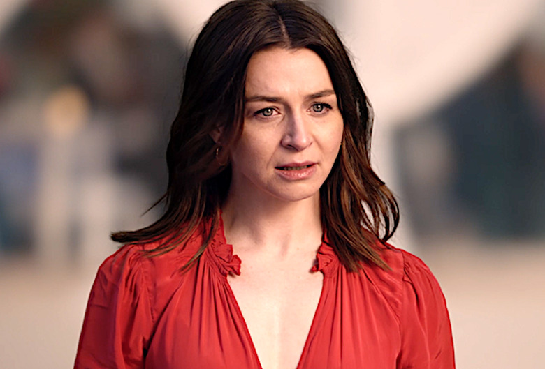 greys-anatomy-what-happened-in-season-17-pictures
