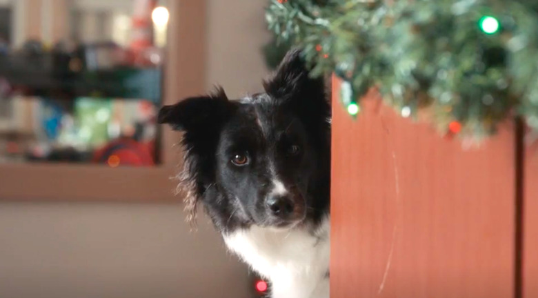 Happy Howlidays