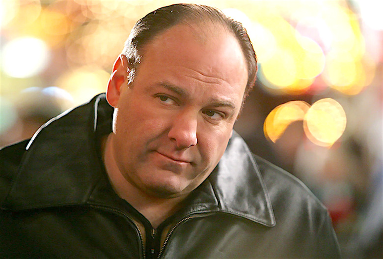 The Sopranos Tony James Gandolfini