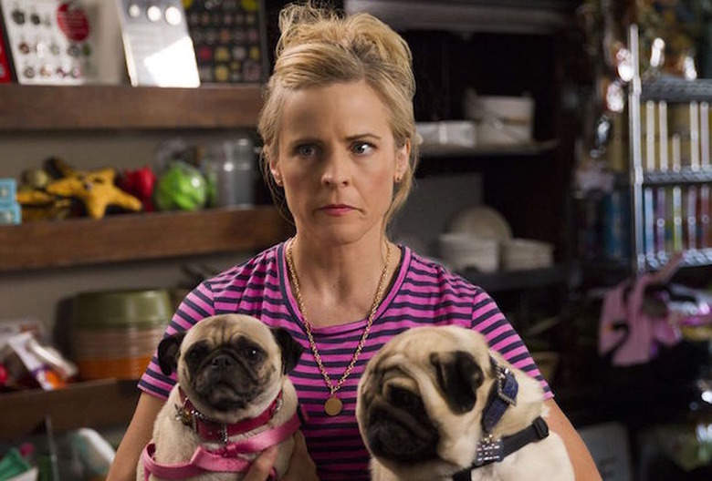 Lady Dynamite