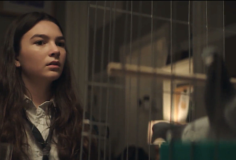 Little Wing Paramount+ Movie