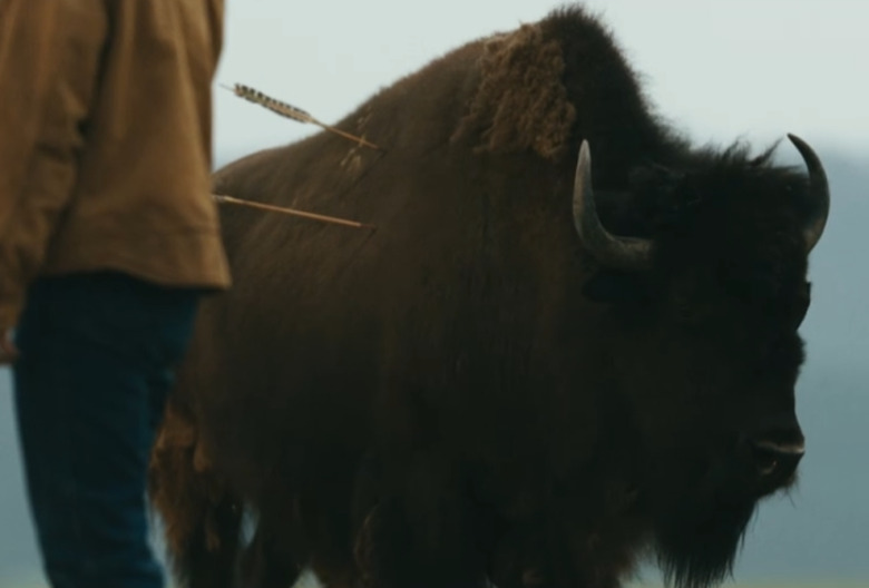 Outer Range Buffalo