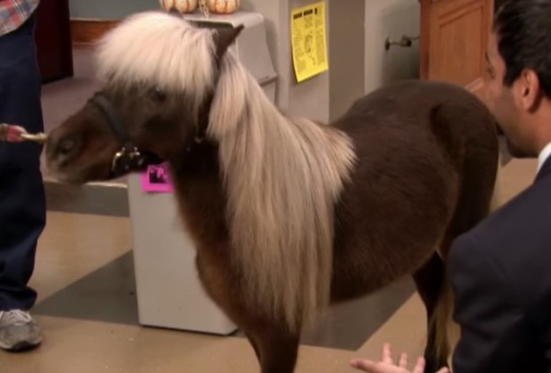 Parks and Recreation Best Characters Ranked Li'l Sebastian