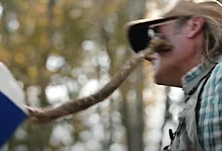 Yellowstone, killer rattlesnake