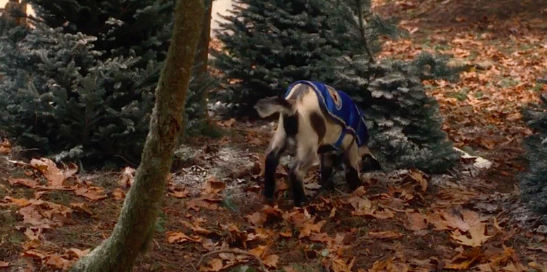 Private Princess Christmas