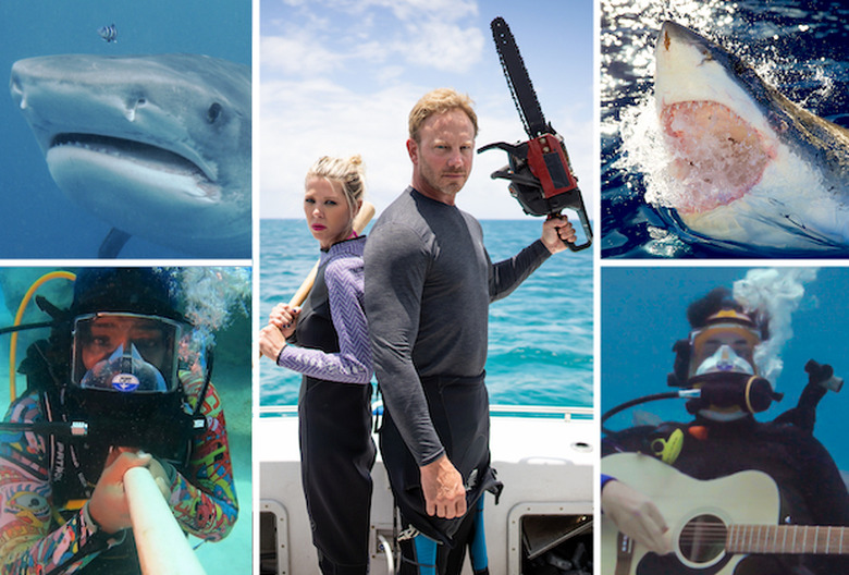 Shark Week 2021
