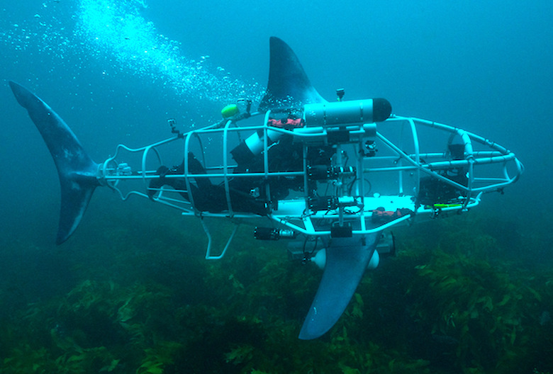 Shark Week 2022