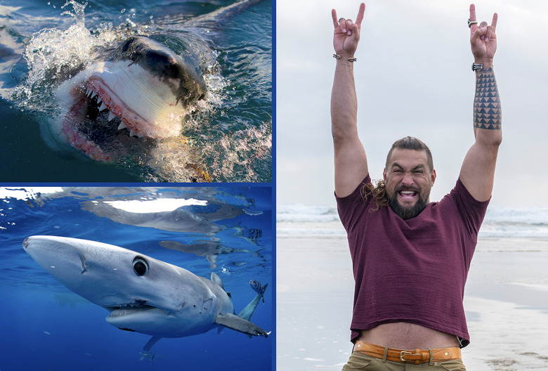 Shark Week 2023 Discovery Channel TV Schedule