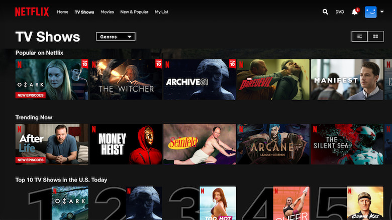 Netflix Screen