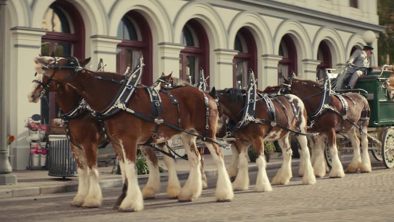 Watch Super Bowl Commercials