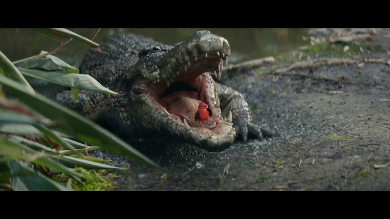 Super Bowl Commercials