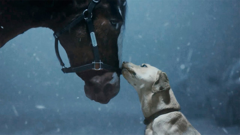 Super Bowl Commercials 2024: See All The Ads