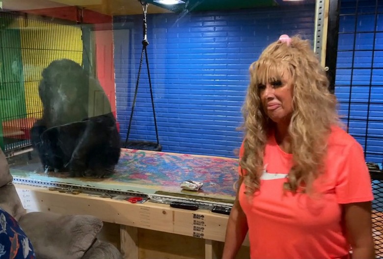 chimp crazy peta reward quote