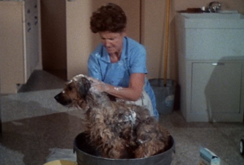 Brady Bunch Characters Ranked