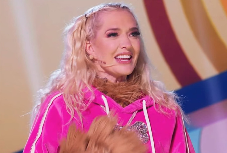 Masked Singer Season 13 Cast Spoilers Yorkie Revealed