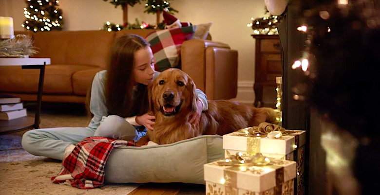 My Christmas Guide