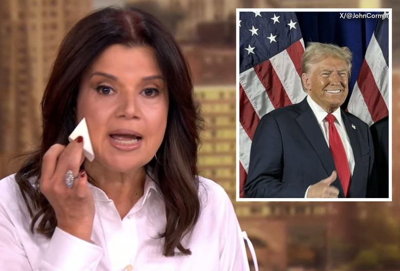 the view trump bronzer quote