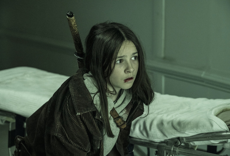 The Walking Dead Recap Series Finale