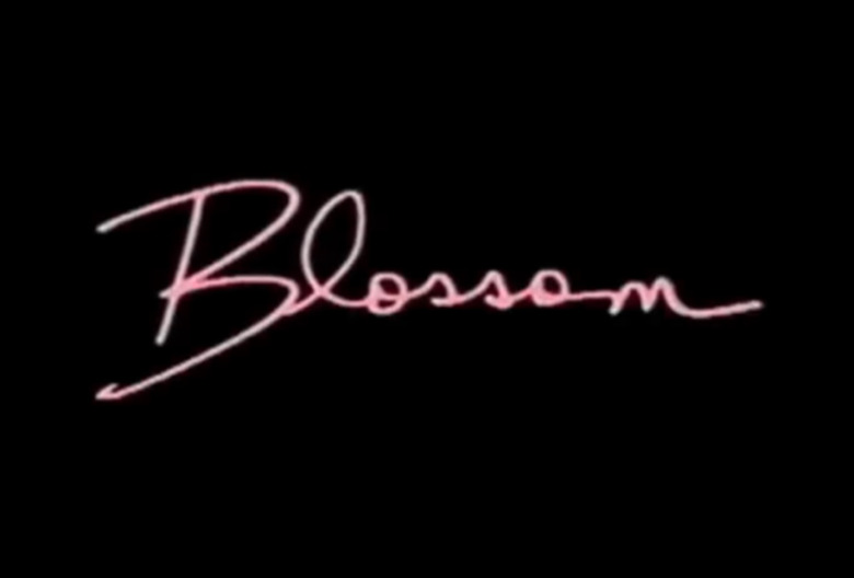 Best TV Theme Songs 1990s Blossom