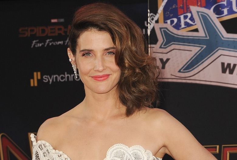 Cobie Smulders Lost