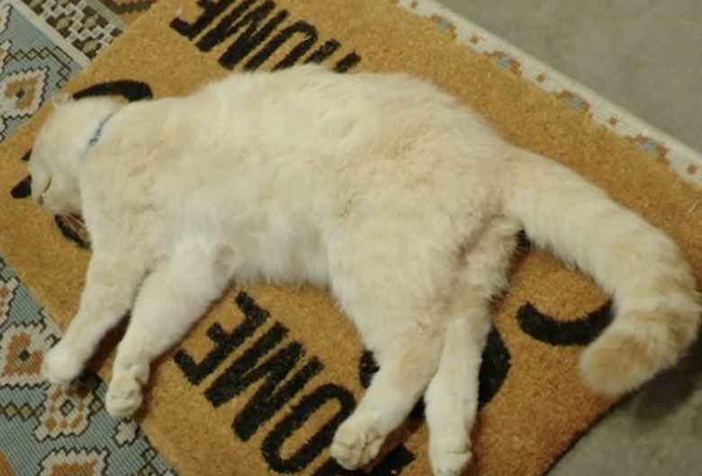 Borgnine, The Young and the Restless