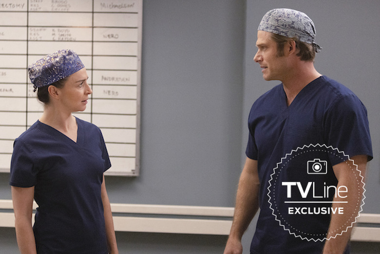 Grey's Anatomy Amelia & Link