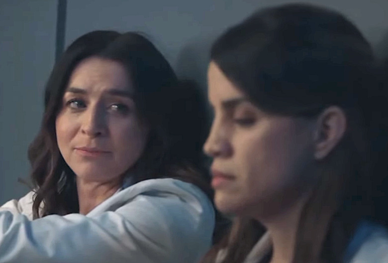 Grey's Anatomy Amelia and Monica