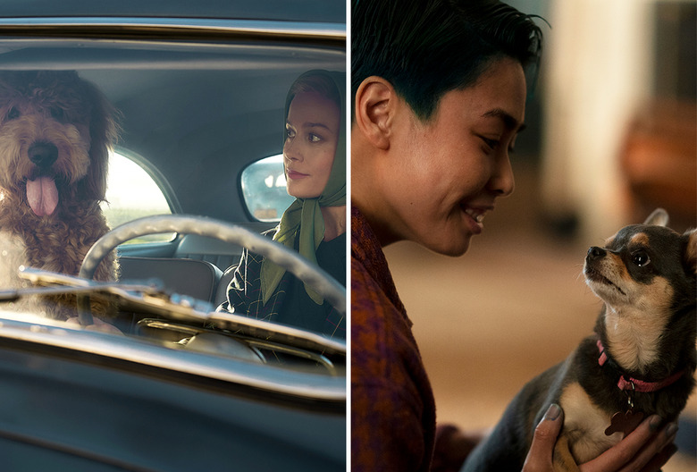 Lessons in Chemistry Six-Thirty Will Trent Betty