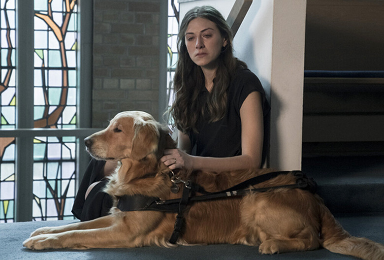 In the Dark Series Finale CW