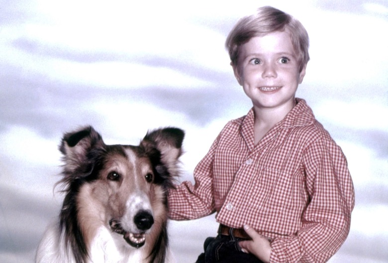 TV Shows That Switched Networks