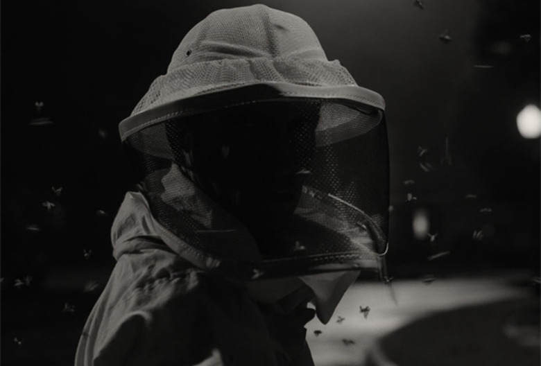 WandaVision beekeeper