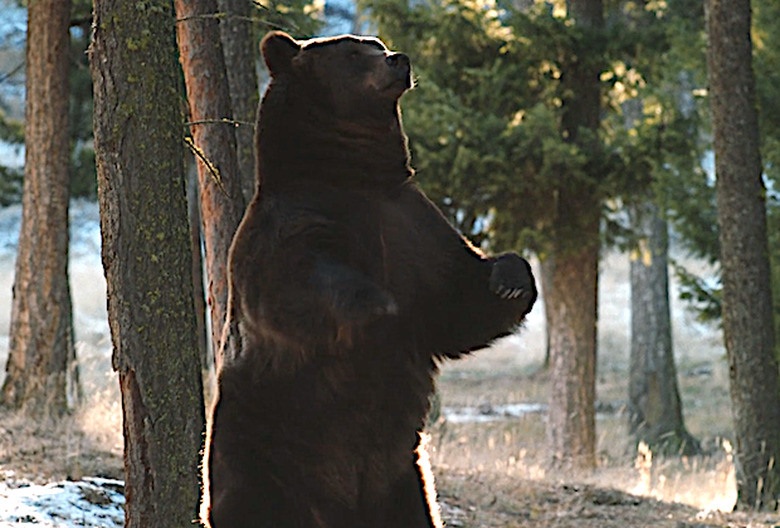 Yellowstone Recap Season 1 Episode 6 The Remembering