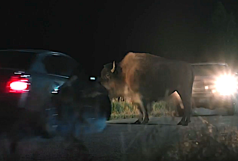 yellowstone recap season 5 premiere episode 1