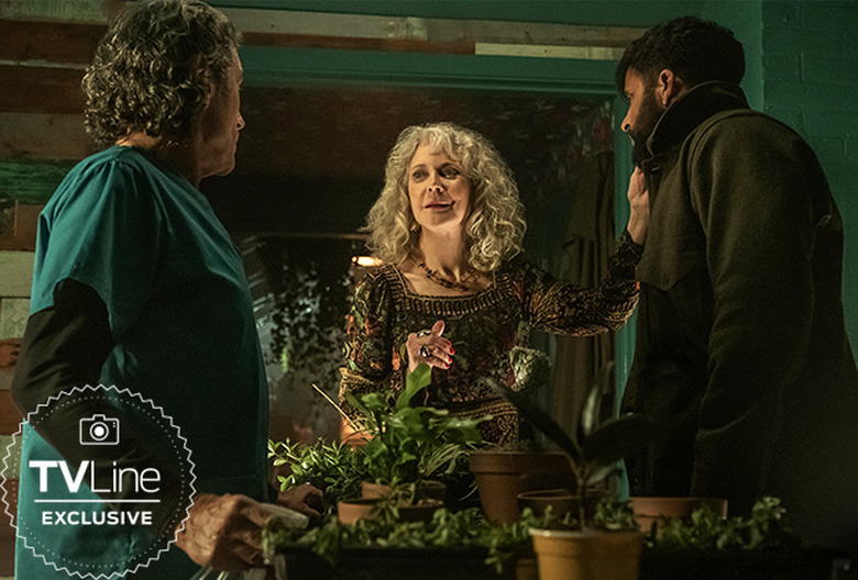 American Gods Season 3 Photo Blythe Danner Demeter