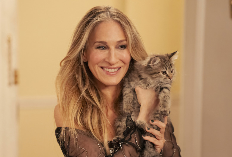 And Just Like That Cat Sarah Jessica Parker Adopted Shoe