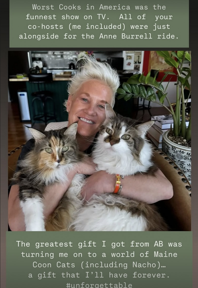 bobby flay anne burrell tribute instagram story