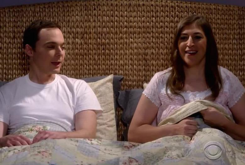 The Big Bang Theory Sex