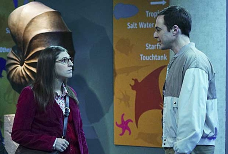 The Big Bang Theory Sheldon Amy