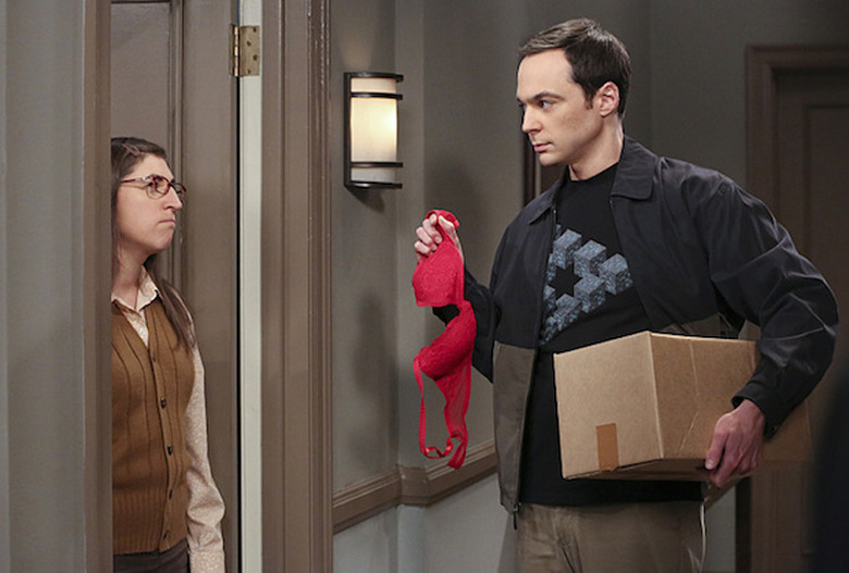 Big Bang Theory Sheldon Sex Amy