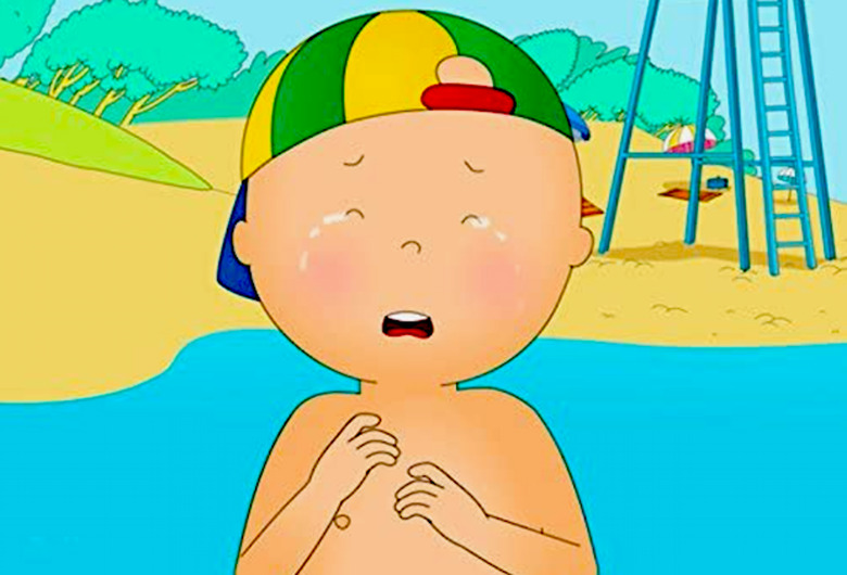 Caillou Cancelled PBS Kids
