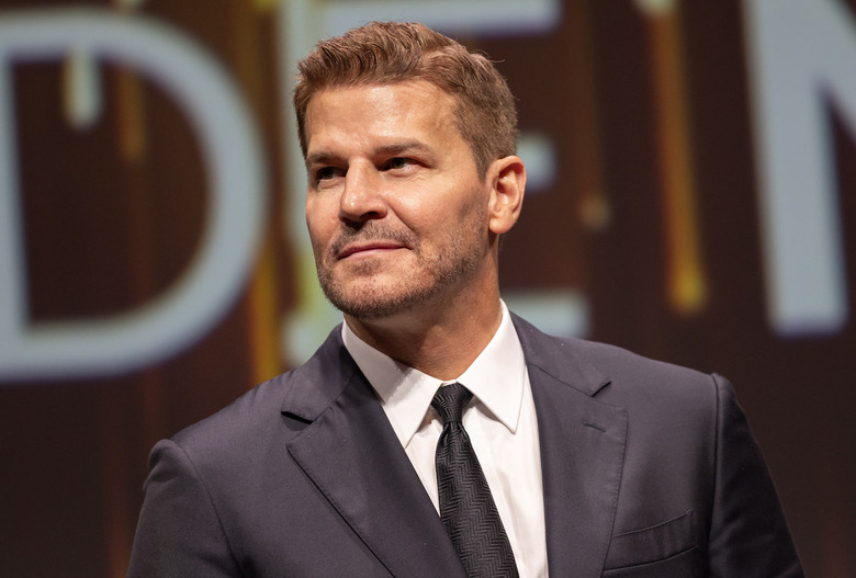 David Boreanaz Next TV Role SEAL Team Ending