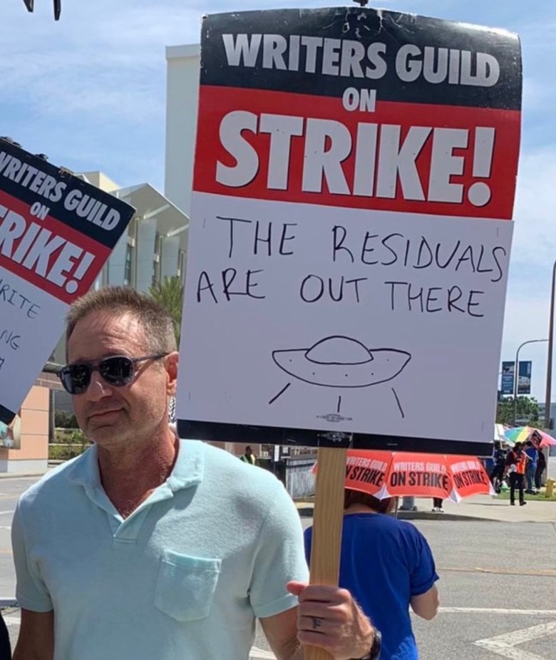 David-Duchovny-Picket-Sign