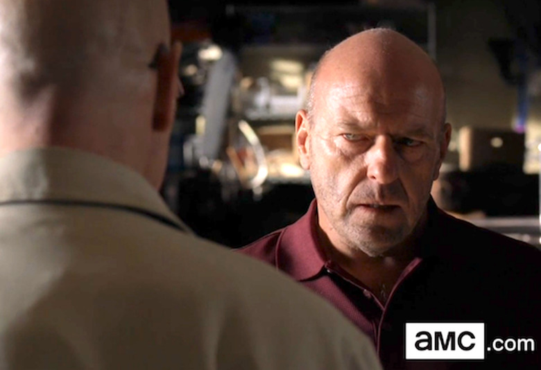 breaking-bad-norris-new-crop