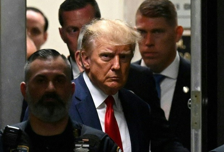 Donald Trump Arrested Felonies Mugshot
