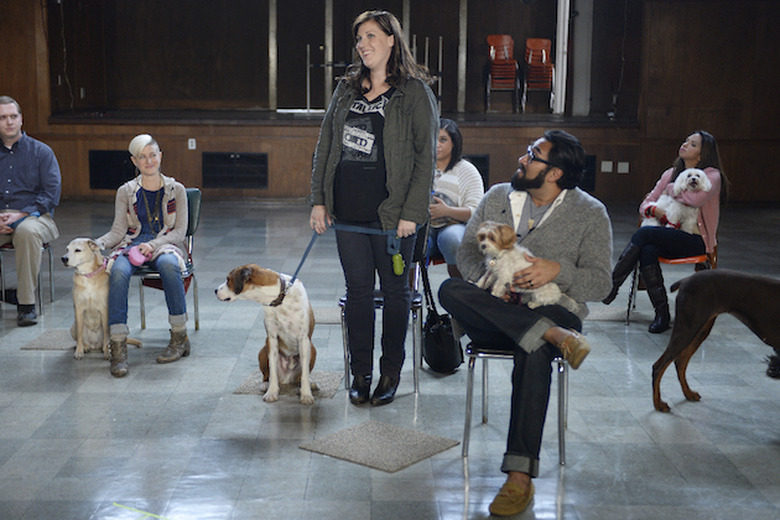 Downward Dog Premiere Recap ABC